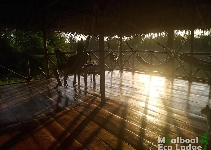 山林小屋 Eco