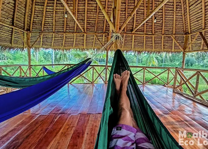 Eco