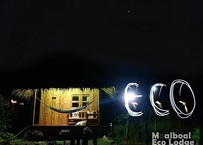 Eco