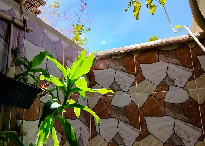 Eco 山林小屋 *