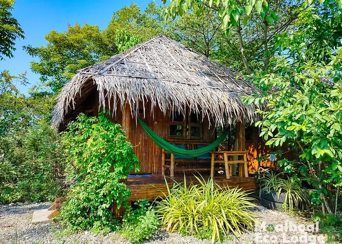 山林小屋 Eco *