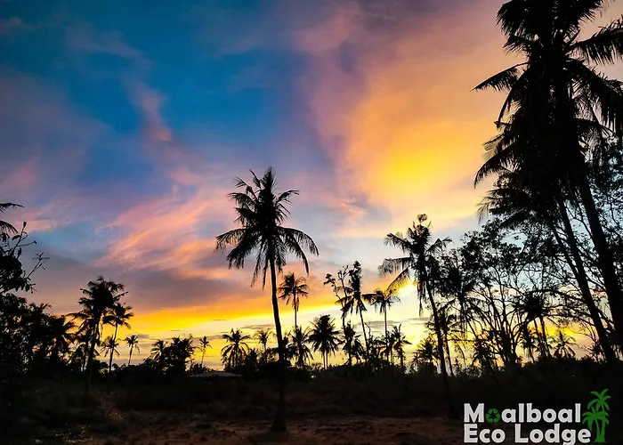 Eco * 莫阿尔博阿