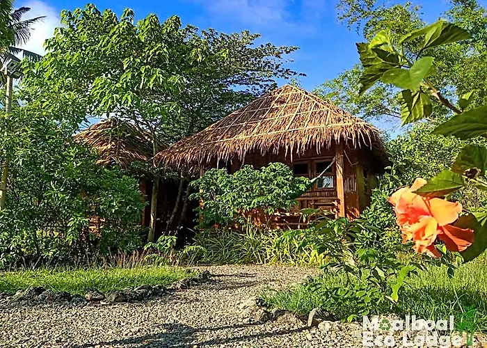 Eco 山林小屋