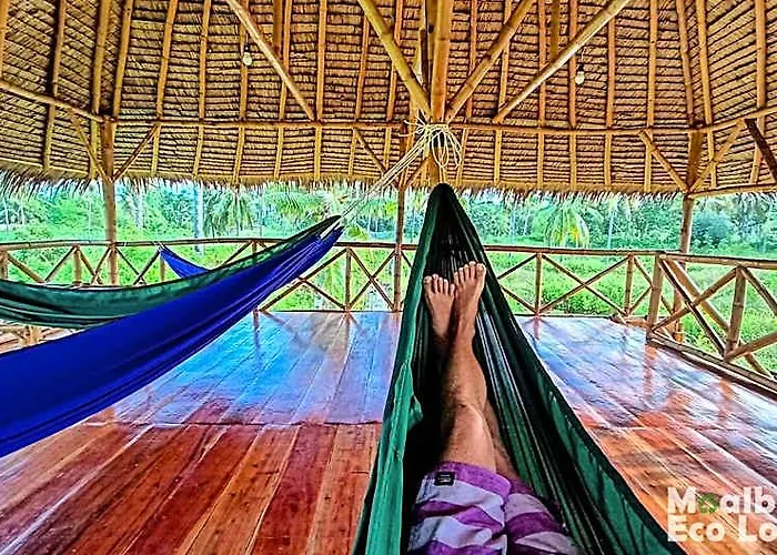 Eco 山林小屋 莫阿尔博阿