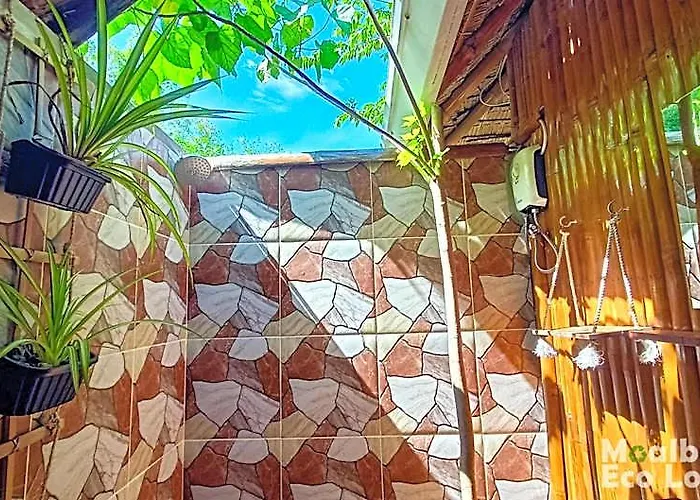 山林小屋 Eco
