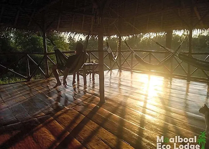 Eco 山林小屋 莫阿尔博阿