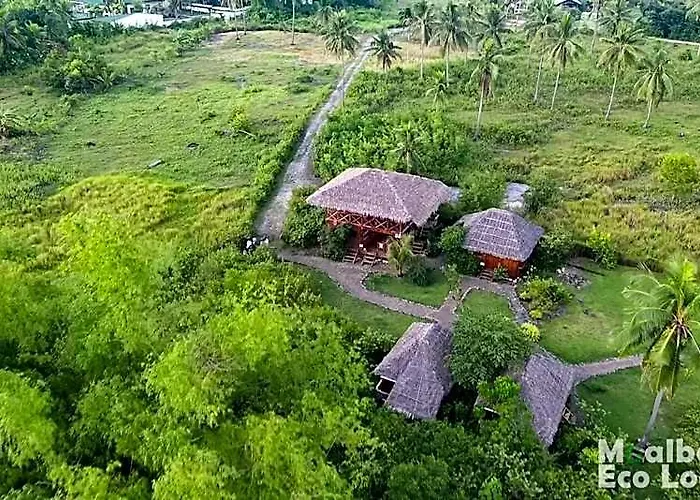 Eco 莫阿尔博阿