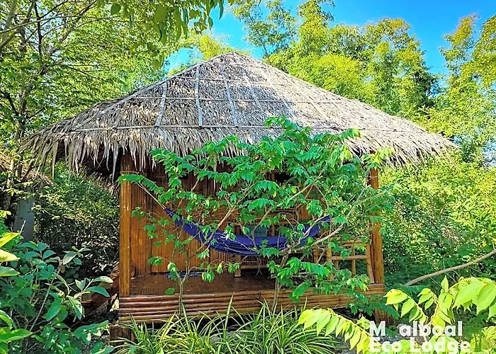 山林小屋 Eco