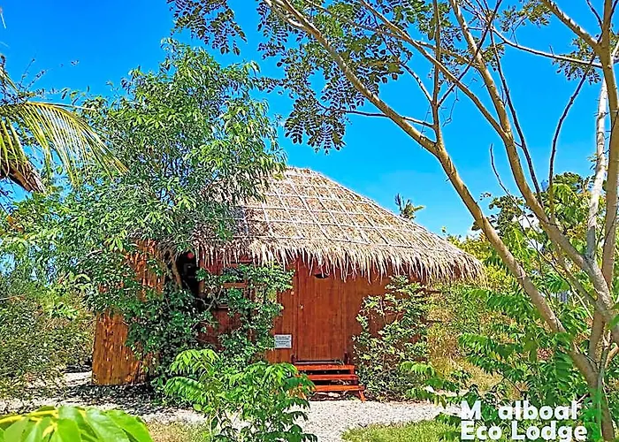 山林小屋 Eco 莫阿尔博阿